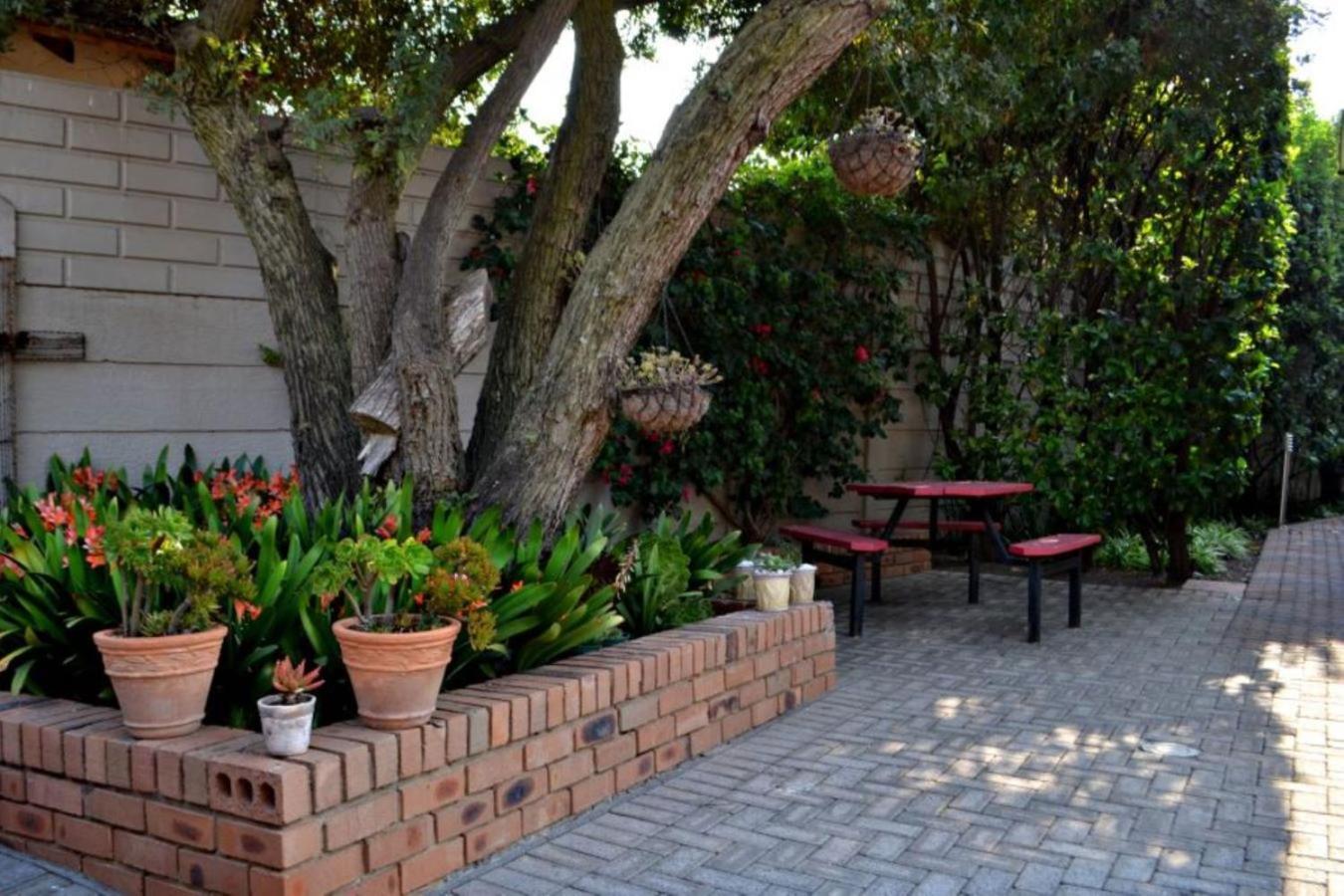 Bokmakierie Gastehuis Emalahleni Pty Ltd المظهر الخارجي الصورة